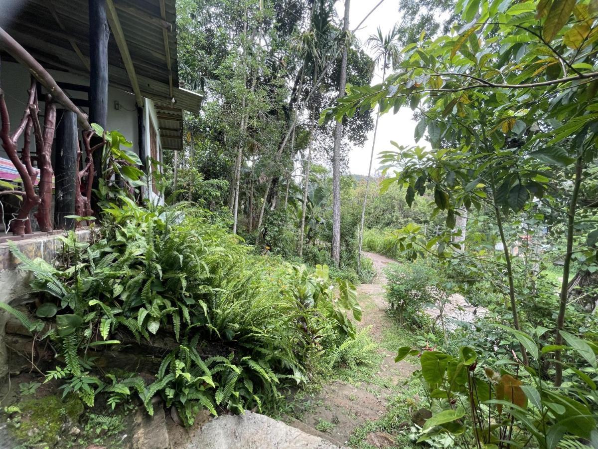 Sri Bhavan Ella Exterior photo